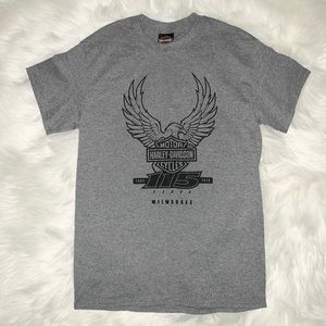 HARLEY DAVIDSON Men’s Gray T-shirt Size Small